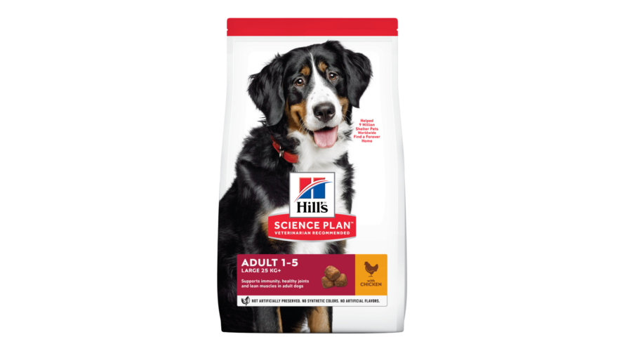 Hills Science Plan Dog Adult Large Chicken 14kg