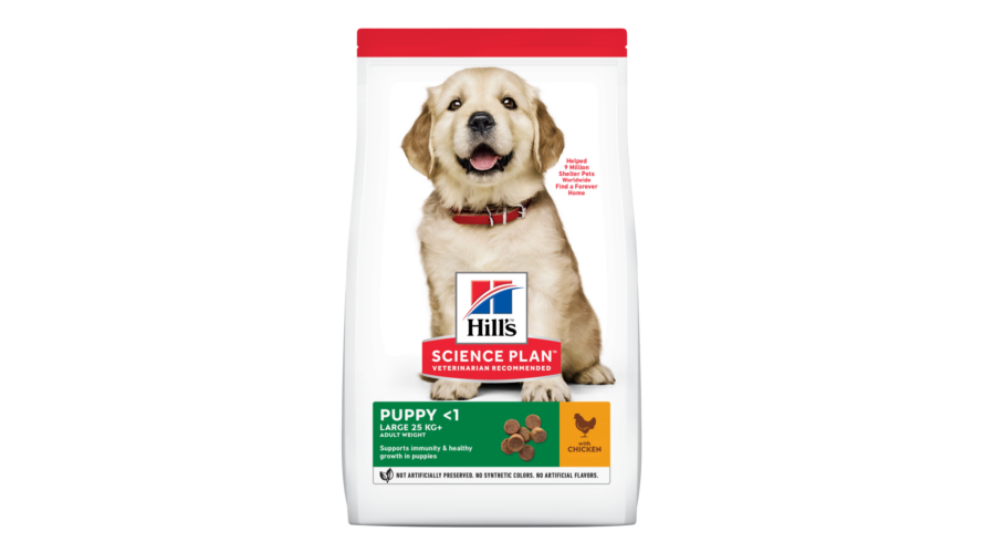 Hills Science Plan Dog Puppy Large Chicken 2.5kg