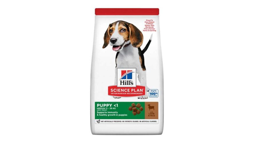 Hills Science Plan Dog Puppy Medium Lamb & Rice