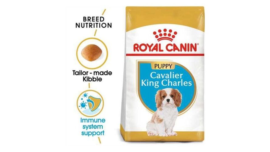 Royal Canin Breed Cavalier King Charles Pup x1.5kg
