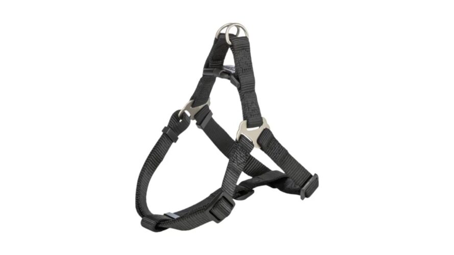 Premium One Touch Harness M: 50-65cm - 20mm Black