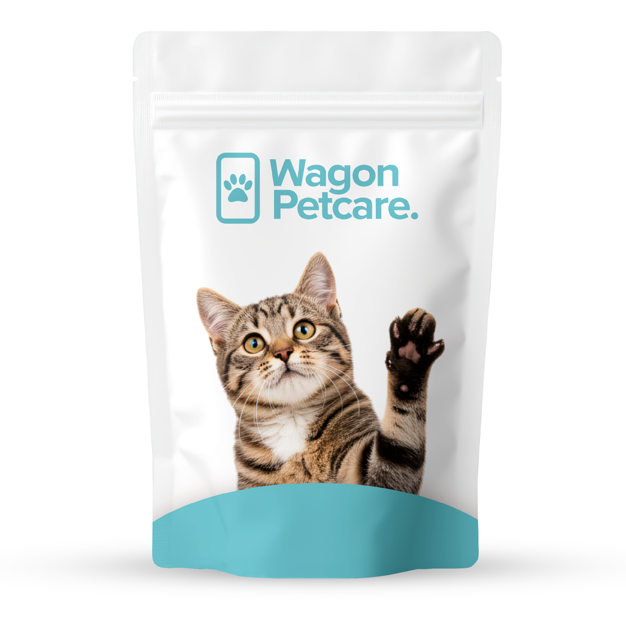 Cat Treats